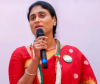 YS Sharmila Criticizes Chandrababu Naidu's Six-Month Governance as 